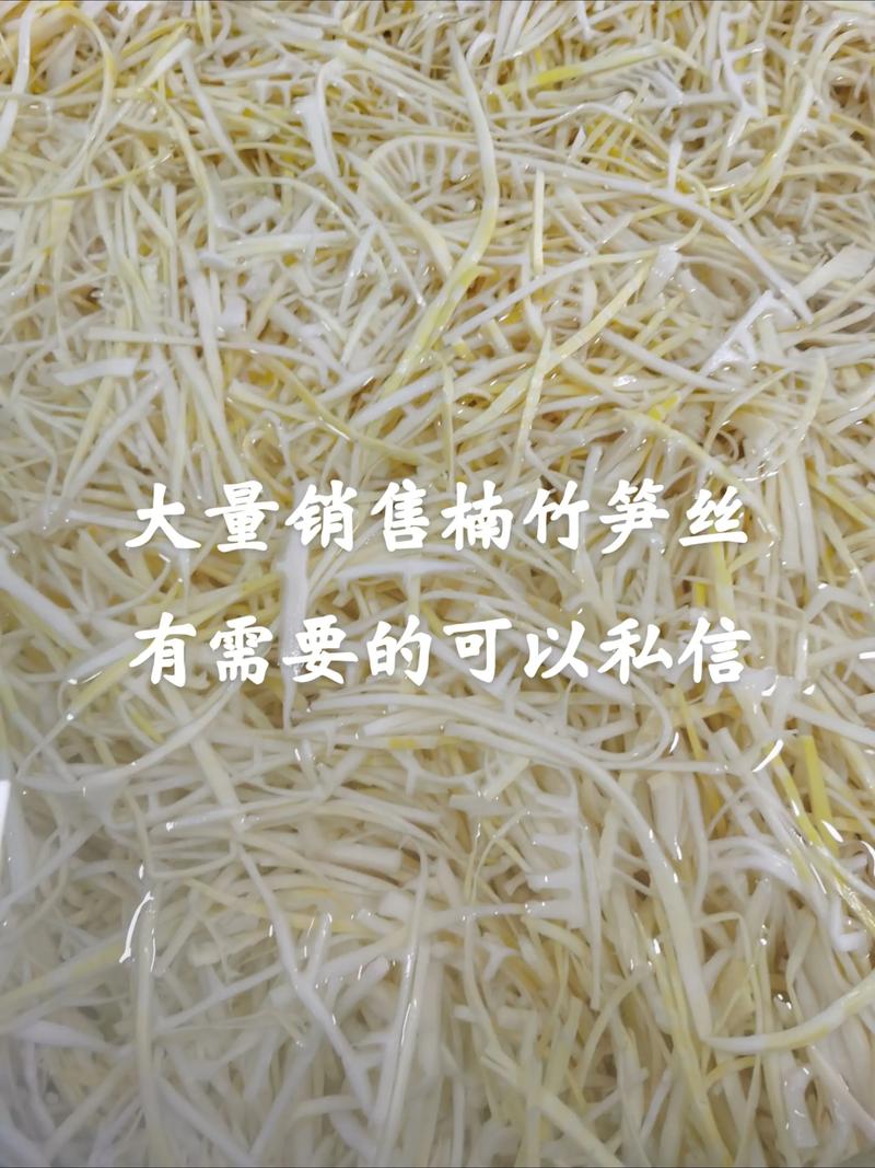 旅游管理软件如何帮助旅行社提高服务效率